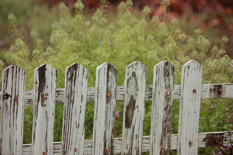 Fence protection land - new guidance for landowners