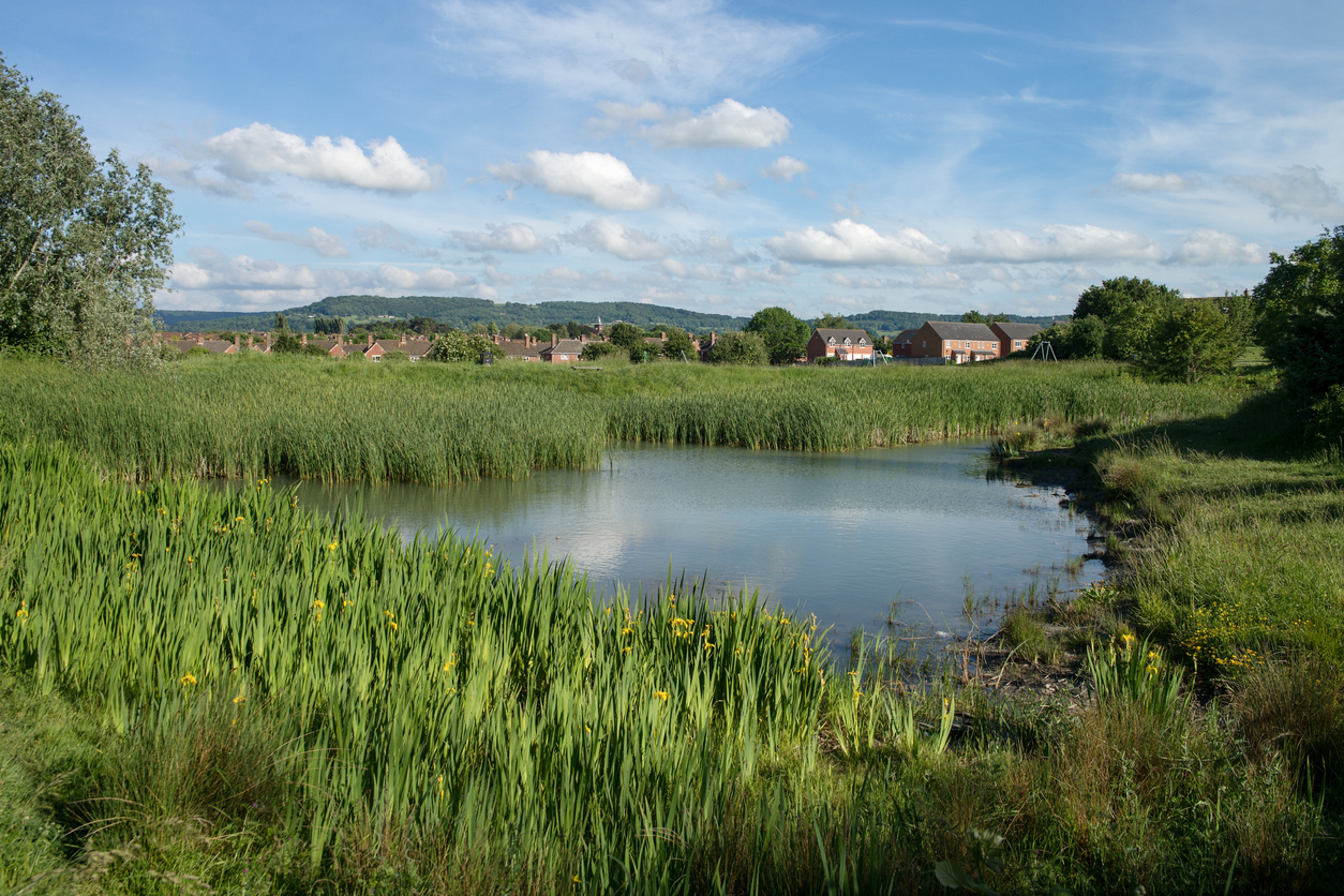  
Lake in middle of green field
