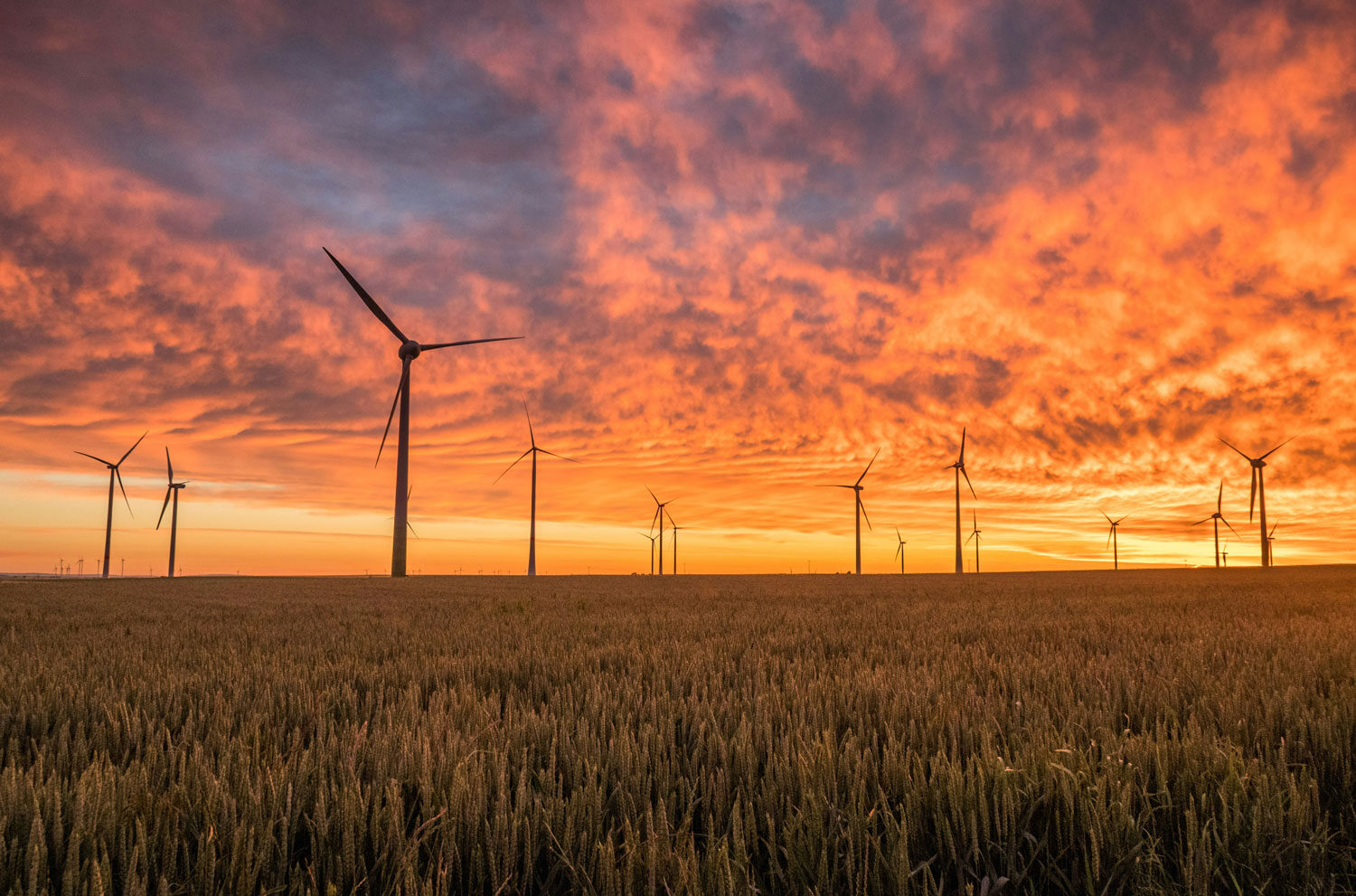 Onshore wind ban dropped in early move by new government