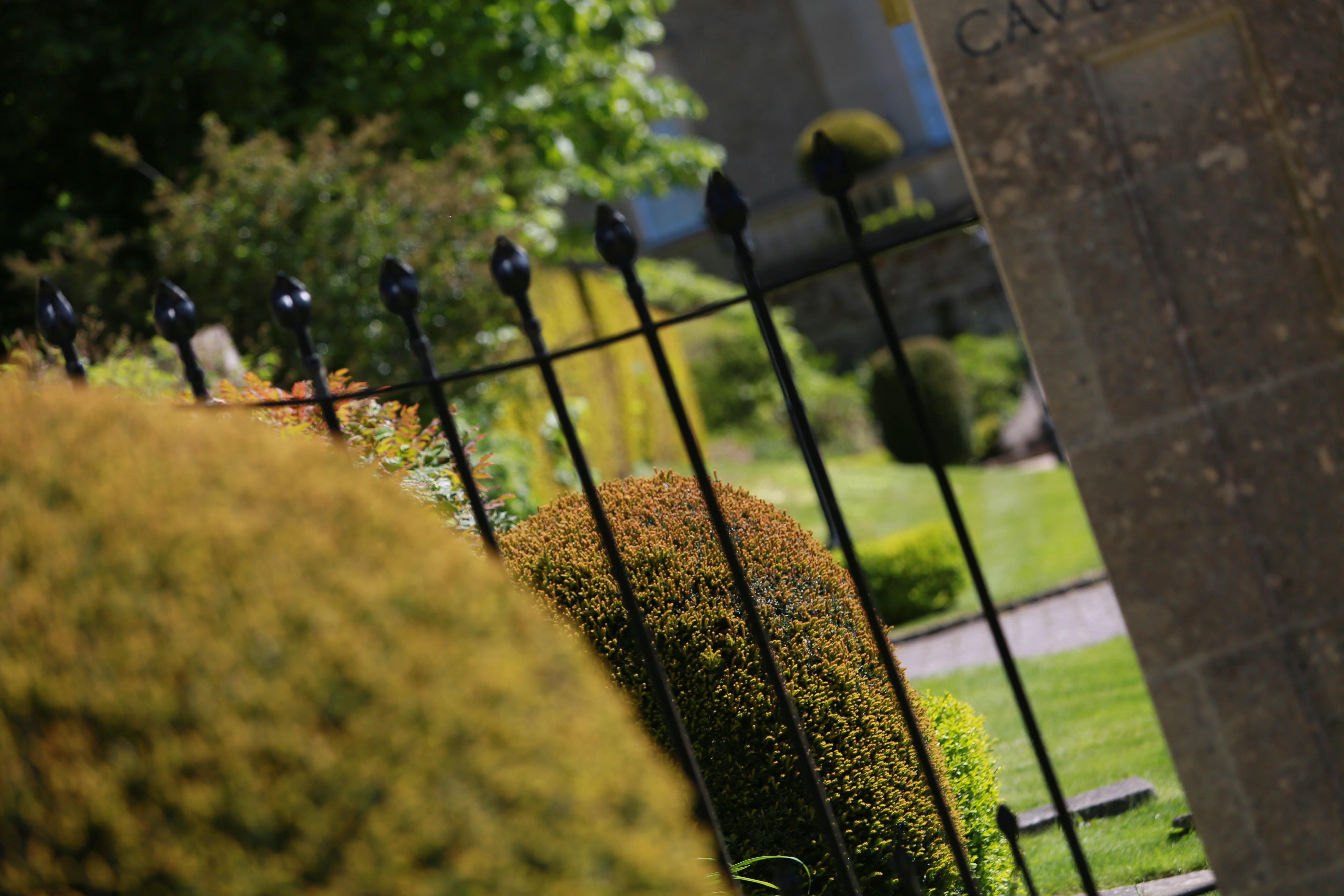 Graveyard gate and bushes