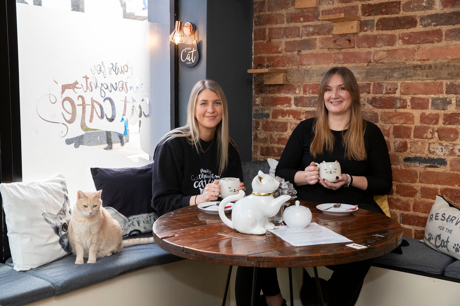 Thrings Meets… Emma Blyth, Paws for Thought Cat Cafe