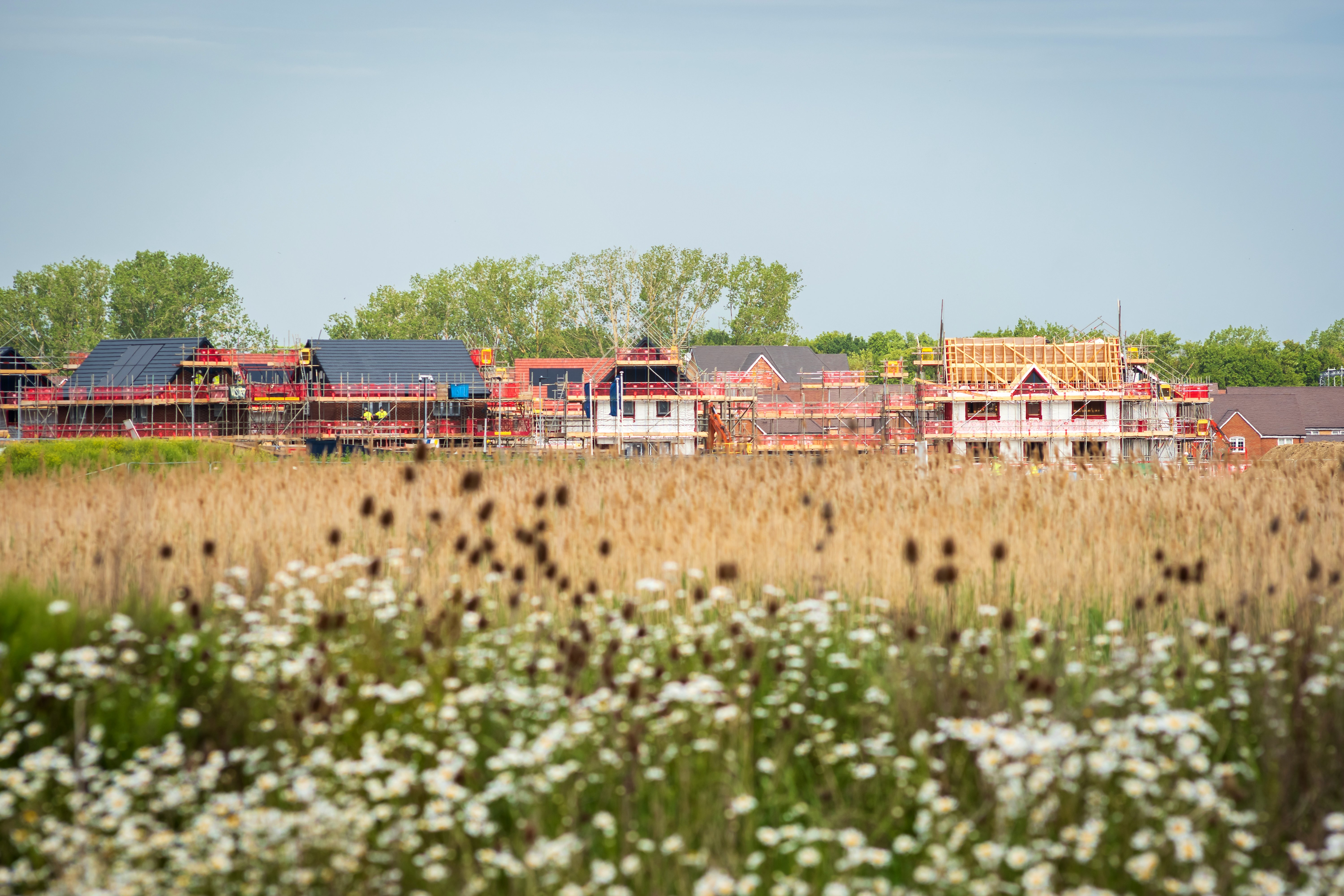  
Houses behind built behind fields
