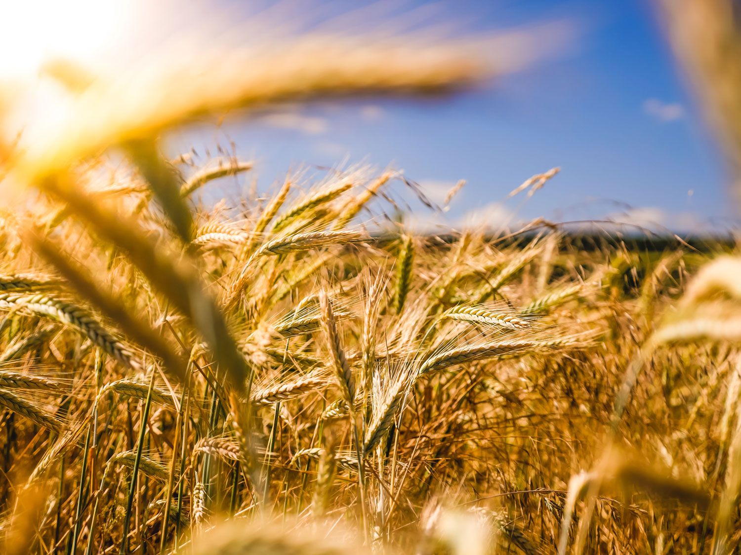 Farmers Weekly Business Clinic