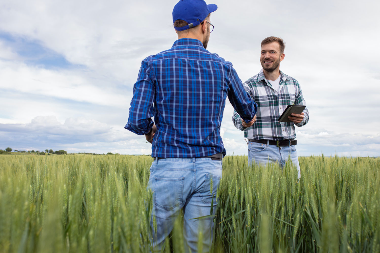 Tennet farming Thrings solicitors