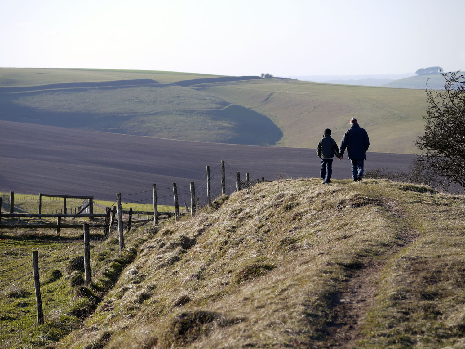 Thrings Farming fields Agriculture planning