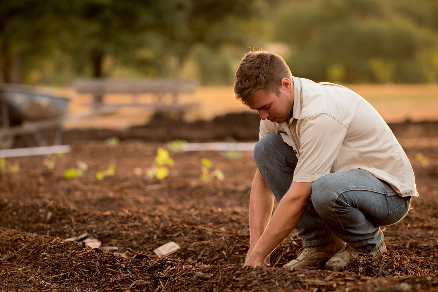 Thrings Farms clark sons farm sustainable farming opportunities