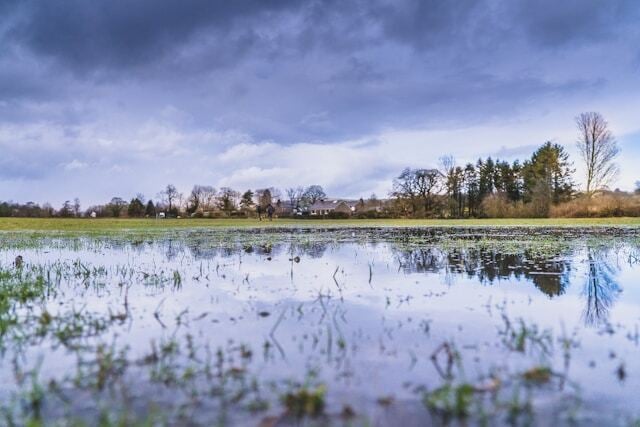 a flooded field