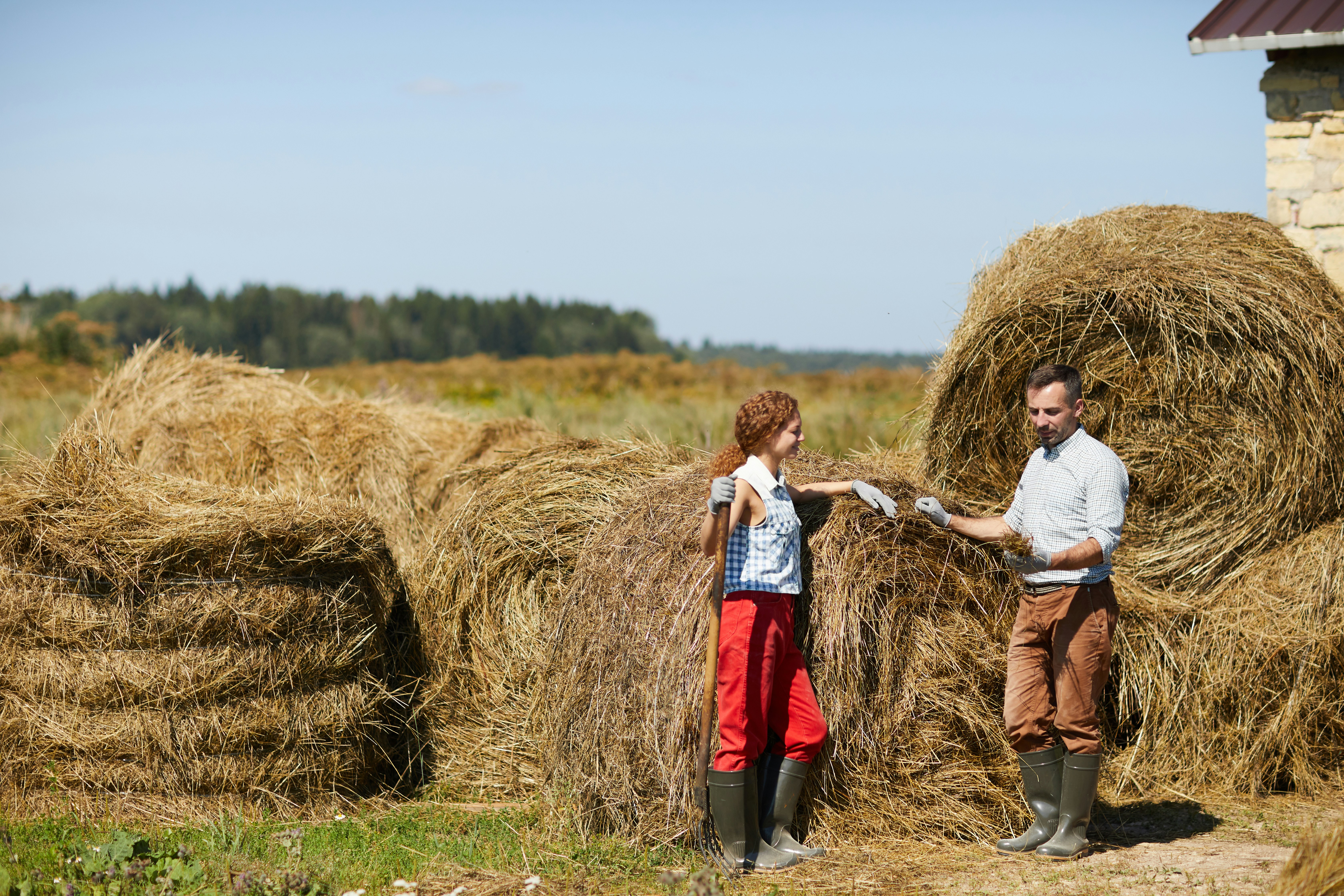 farmers standing in front of hay
